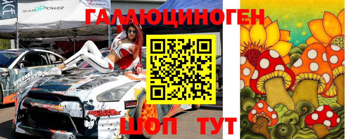 Сорочинск  Галлюциногенные грибы мицелий  Галлюциногенные грибы Psilocybe  Вход с VPN 
