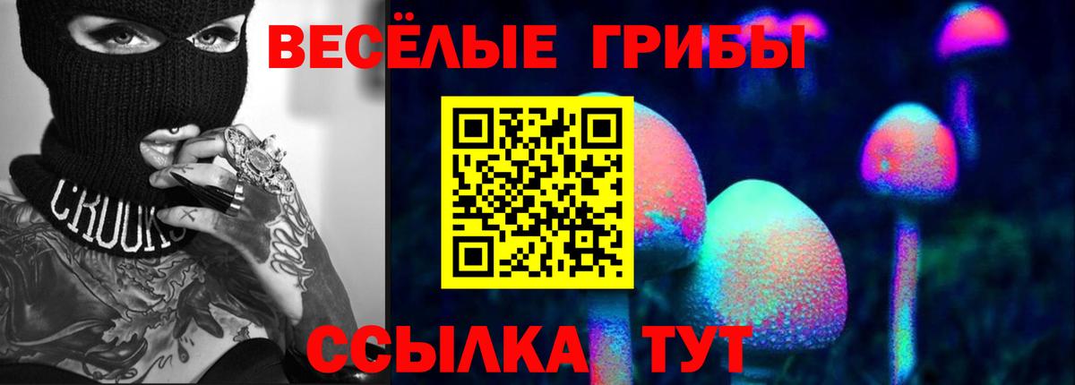 Псилоцибиновые грибы ЛСД Сорочинск