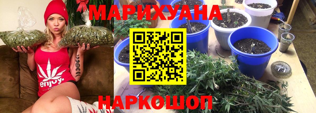 Сорочинск  Канабис семена  Конопля Bruce Banner  Вход с VPN  Конопля планчик 